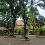 SMAN 3 Yogyakarta: Sekolah Terbaik dengan Fasilitas Unggul